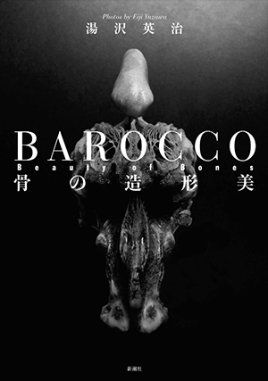 BAROCCO Beauty of Bones 骨の造形美