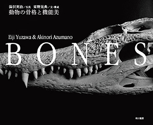 BONES　動物の骨格と機能美